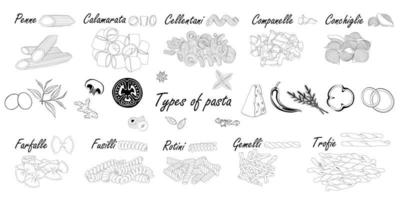 tipi di pasta. differenza di pasta corta, esempio di illustrazione con ingredienti. bianco e nero. vettore