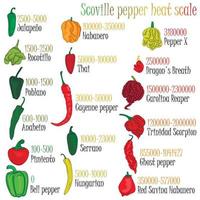 scala di calore al peperoncino di Scoville. illustrazione del peperone dal più dolce al molto piccante. vettore