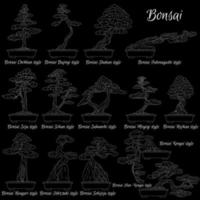 bonsai. diversi stili di alberi in miniatura. l'arte di coltivare piante nane. vettore