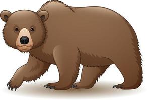 cartone animato orso bruno vettore