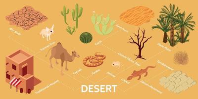 infografica isometrica del deserto vettore