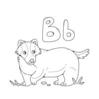 libro da colorare di tasso con lettere inglesi grandi e piccole b. bambini da colorare pagine alfabeto. illustrazione di contorno vettoriale con un animale.