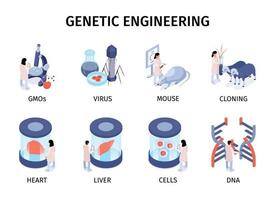 composizioni isometriche di ingegneria genetica