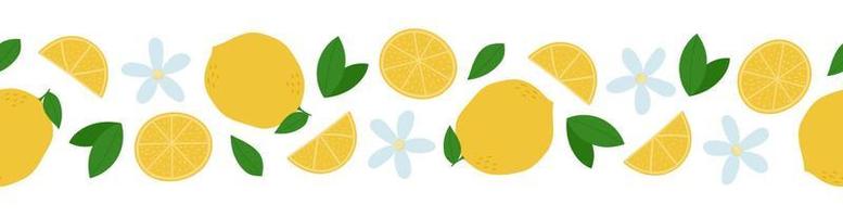 bordo senza cuciture di limone. limoni interi, fette, foglie e fiori su sfondo bianco vettore