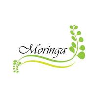 disegno vettoriale dell'illustrazione del logo della foglia di moringa