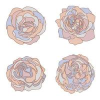 fiori di rosa disegnati a mano da forme astratte di macchie di colore impostate, collezione di fiori in fiore isolata su sfondo bianco. elementi di decorazione botanica vintage per l'illustrazione vettoriale di design floreale.