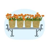 concetto di carta di primavera con calendule in fiore in vasi sul davanzale, giardinaggio domestico felice mattina pacifica illustrazione vettoriale positiva