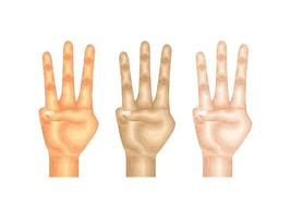 gesto linguaggio mano vettore corpo braccio segno dito parte modello anatomia collezione pelle umana idea su