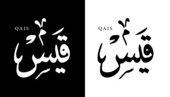 nome della calligrafia araba tradotto 'qais' lettere arabe alfabeto font lettering logo islamico illustrazione vettoriale