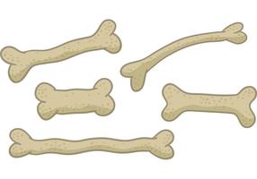 Vettori di ossa di cane