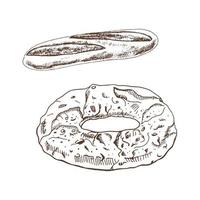 set da forno in stile schizzo disegnato a mano vintage. pane e pretzel su sfondo bianco. illustrazione vettoriale. icone ed elementi per stampa, web, mobile e infografica. vettore