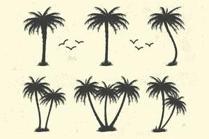 sagome vettoriali di palme tropicali