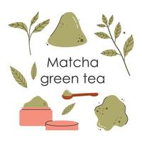 un set di foglie di tè verde matcha. cultura del tè giapponese. il matcha latte è una bevanda salutare. illustrazione di moda a colori vettoriale disegnata a mano.
