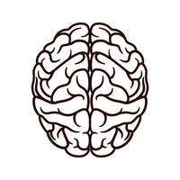 vettore icona cervello umano isolato