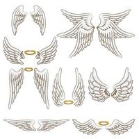 disegno grafico dell'insieme di vettore dell'ala di angelo
