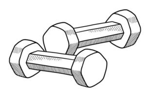 illustrazione vettoriale di manubri isolati su uno sfondo bianco. scarabocchio disegnando a mano