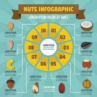 infografica noci, stile piatto vettore