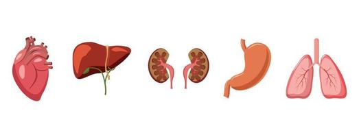set di icone di organi umani, stile cartone animato vettore