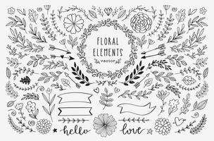 elementi di design disegnati a mano di vettore. illustrazioni floreali rustiche vintage. doodle banner, allori, ghirlande, rami, nastri, divisori, vortici, frecce. vettore