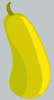 illustrazione vettoriale di giallo brillante pianta di zucchine.