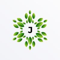 design del logo della lettera j e della foglia vettore