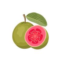 illustrazione vettoriale, frutta tropicale guava, frutta intera e dimezzata, isolata su bianco. vettore