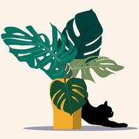foglie di monstera nel vaso con un gatto. insieme tropicale. composizione esotica. vettore