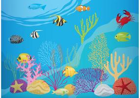 Coral Reef With Fish