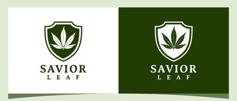 foglia di marijuana di cannabis con ispirazione per il design del logo dello scudo vettore