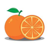 illustrazione di frutta arancione su sfondo bianco vettore