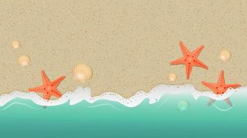 sfondo di mare. sabbia, conchiglie, stelle marine e onde. vettore