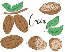 set vettoriale disegnato a mano di fave e foglie di cacao