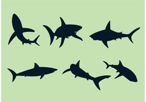 Grandi Vettori di squalo bianco