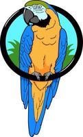simpatico cartone animato pappagallo vettore