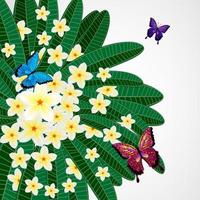 eps10 sfondo di disegno floreale. fiori di plumeria con farfalle. vettore
