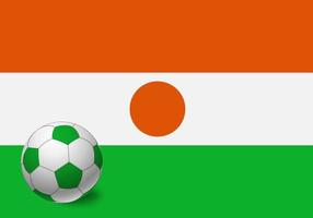 bandiera del niger e pallone da calcio vettore
