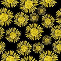 illustrazione vettoriale modello senza cuciture girasole, fiori gialli su sfondo nero