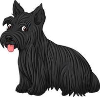 razza di cane scottish terrier vettore