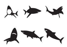 Sagome di squalo vettoriale
