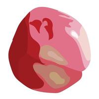 mela matura, rubiconda, rossa. illustrazione stock vettoriale isolato su sfondo bianco.