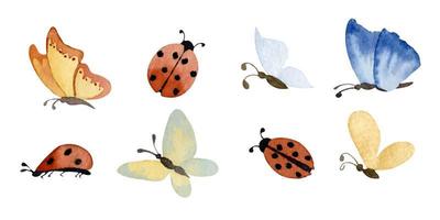 coccinelle e farfalle ad acquerello. illustrazione disegnata a mano di insetti primaverili. coccinelle e coleotteri su sfondo bianco isolato. insieme di elementi per icona o logo vettore