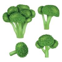 set di icone di cavolo broccoli, stile realistico vettore