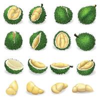 set di icone durian, stile cartone animato vettore