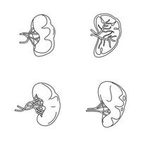 set di icone di anatomia della milza, stile contorno vettore