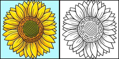 illustrazione colorata della pagina di colorazione del girasole vettore