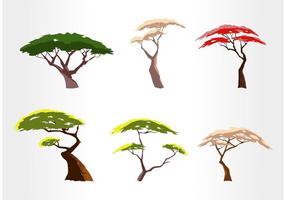 Set vettoriale di albero di acacia gratis