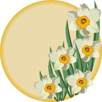 bouquet di fiori di narciso, spazio copia cornice rotonda, illustrazione vettoriale