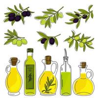 collezione di rami d'ulivo disegnati a mano e bottiglie di vetro con olio d'oliva. vettore