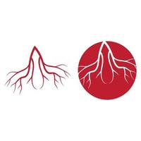 vene umane, disegno dei vasi sanguigni rossi e illustrazione vettoriale delle arterie isolate