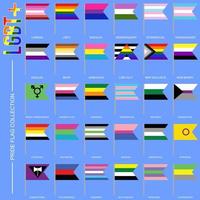 set di bandiere di orgoglio dell'identità di genere, simboli lgbt. segnala sesso gay, transgender, bisessuale, lesbico e altro ancora. illustrazione vettoriale
